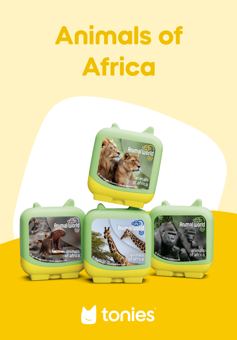 Animal World Animals of Africa Pocket Tonies - 4 Pack - Image 2