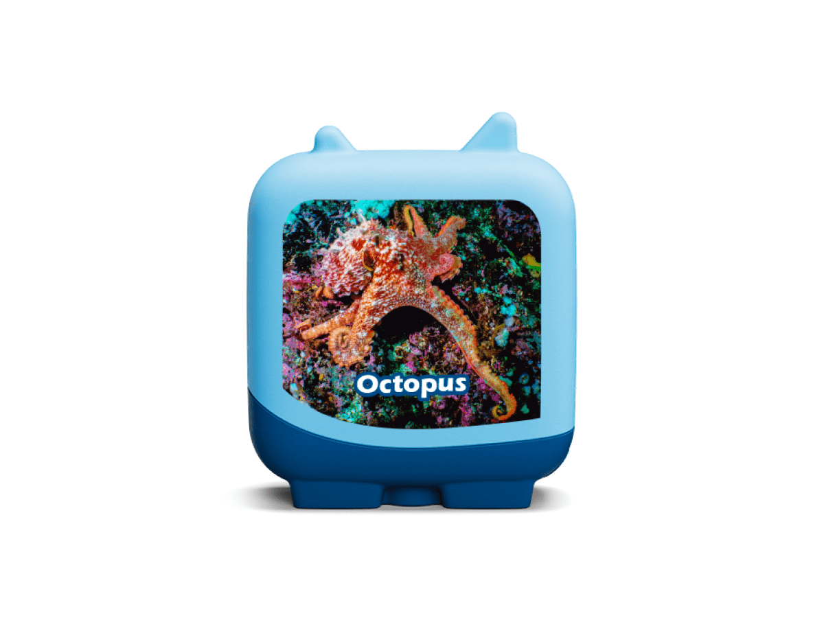 Marine Life Pocket Tonies - 4 Pack - Image 6