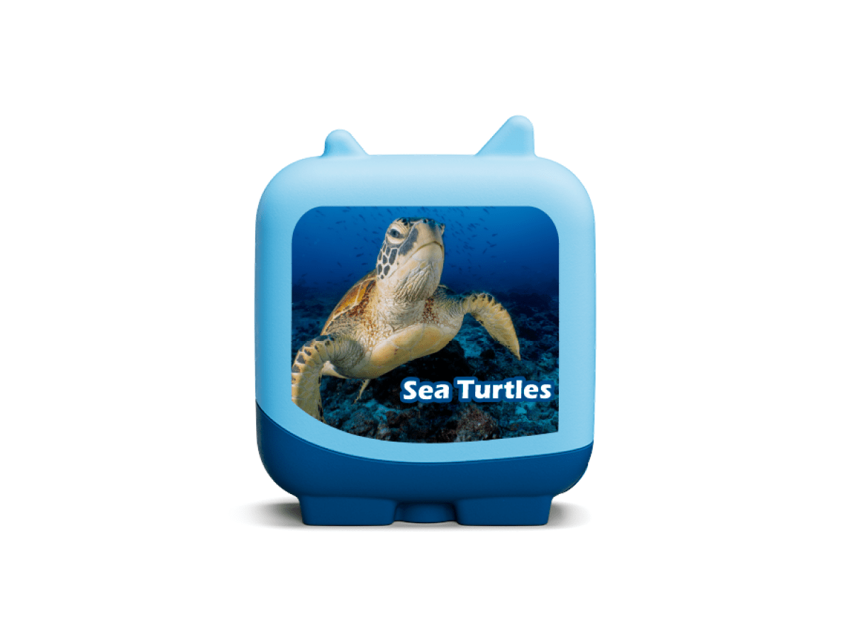 Marine Life Pocket Tonies - 4 Pack - Image 8