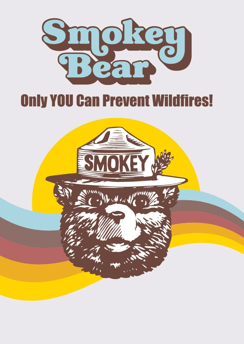 Smokey Bear Tonie - Image 2