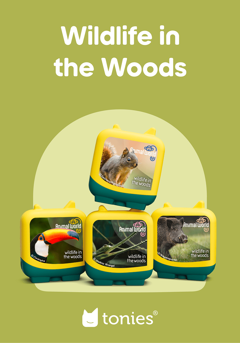 Animal World Wildlife in the Woods Pocket Tonies - 4 Pack - Image 2