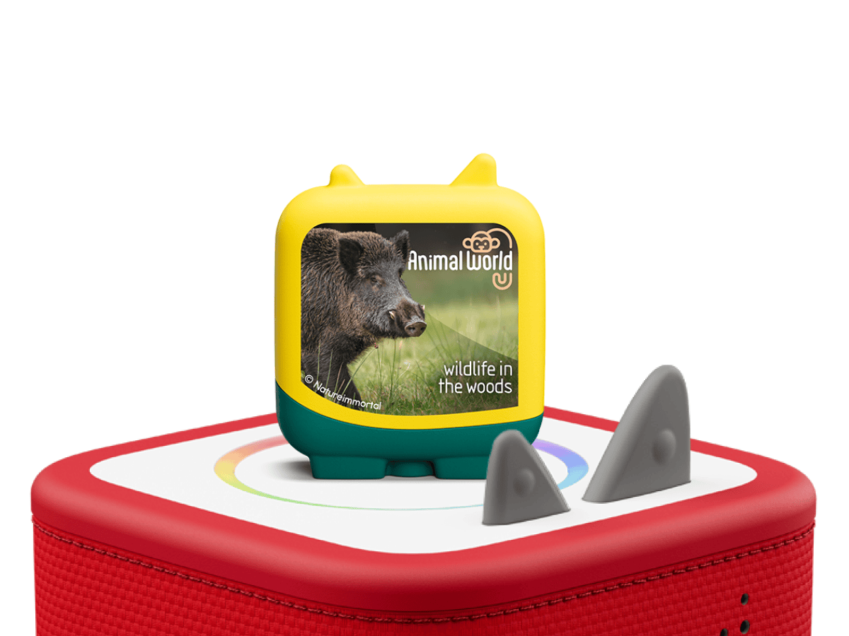 Animal World Wildlife in the Woods Pocket Tonies - 4 Pack - Image 4